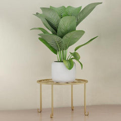 Modern Iron Plant Stand Black Golden Indoor Outdoor