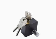 Stainless Steel Black Handle Key Lock with 3 Keys