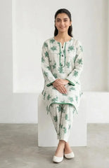 2 Pcs Women's Stitched Arabic Lawn Printed Shirt And Trouser