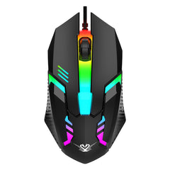 RGB Luminous Gaming Keyboard & Mouse Set